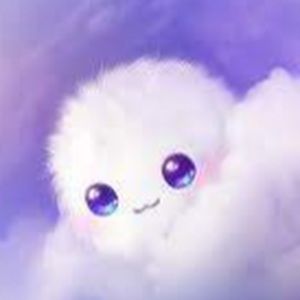 Meet your Posher, Cici